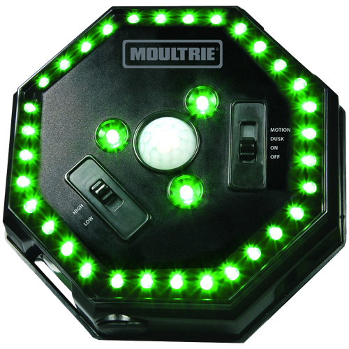 Moultrie Feeder Hog Light Black Green Filter 30 ft Range