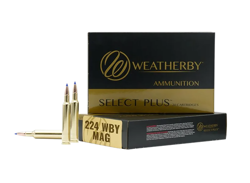 Weatherby Hammer Custom 224 Wby Mag Ammo 37gr 20 Rounds - M22437HCB
