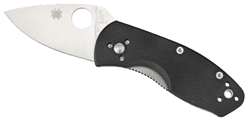 Spyderco Ambitious 2.25" Folding Drop Point Plain 8Cr13MoV Stainless Blade Black G10 Handle Includes Pocket Clip