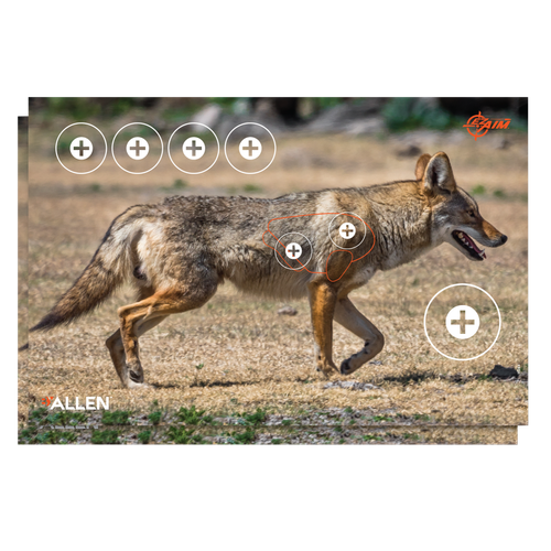 EZ-Aim Four Coyote Paper Hanging 23" x 35" Multi-Color 2 Per Pkg