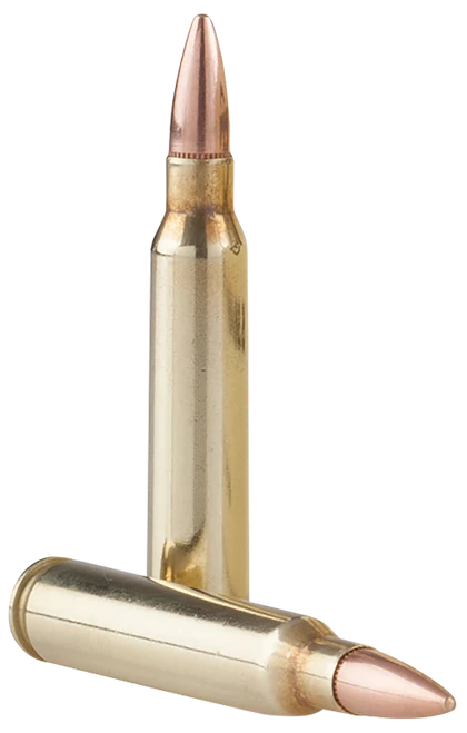 TR&Z Range Master 5.56x45mm NATO 55 gr
