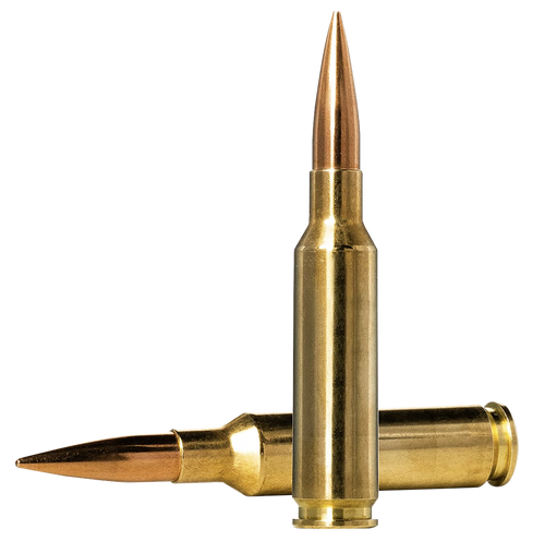 Norma Ammunition Dedicated Precision Golden Target Match