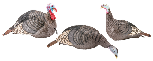 HS Strut Strut-Lite Flock Wild Turkey Species