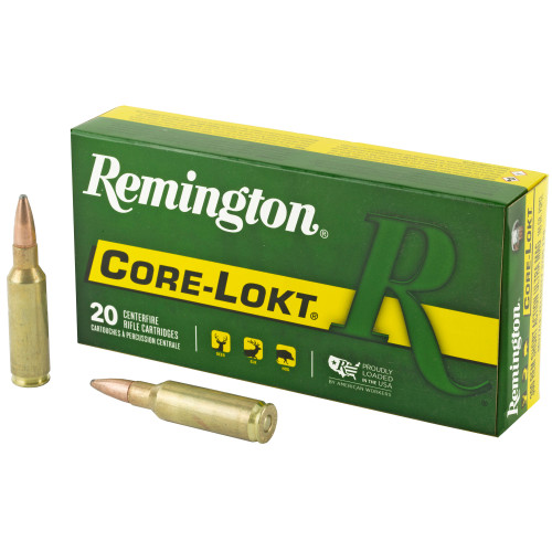 Remington 300RSAUM 165gr PSP CL