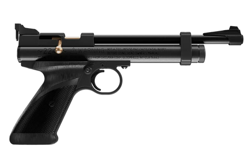 Daisy 2240 2240  Black Polymer CO2 22 Cal, Single Shot Bolt Action