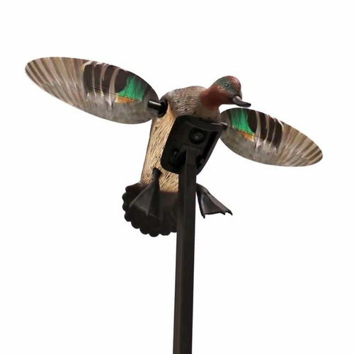 Mojo Outdoors Elite Series Green Winged Teal Duck Species Natural Molded Plastic - HW2474-3P
