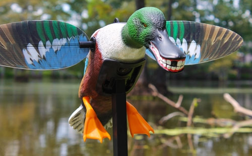 MOJO ELITE SERIES SPOONZILLA MALLARD DRAKE DECOY