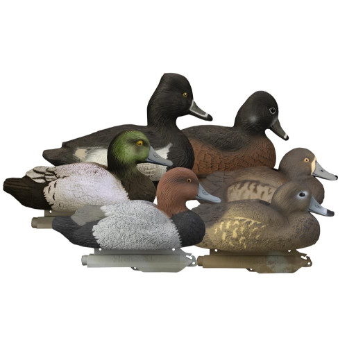 Higdon Outdoors Standard Diver Pack 2 Bluebill 2 Red Heads 2 Ring Necks