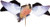 AVIAN X SPINNING WING DOVE DECOY