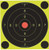 Birchwood Casey Shoot-N-C International Target