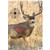 BC PREGAME MULE DEER TGT 16.5X24 3PK