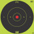 Pro-Shot Splatter 12" Green Bullseye Tag Paper Target 5/ct