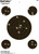 Champion VisiColor High-Visibility Paper Targets 8" Bull w/4 extra Bulls 10/Pack