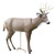 PRIMOS DEER DECOY SCAR 