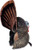 Flextone Thunder Creeper Strutter Decoy W/ Folding FAN