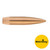 Sierra MatchKing Rifle Bullets (500/ct) .311 cal .311" 174 gr HPBT