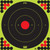 Pro-shot Target 17" Grn Bullseye 5pk