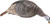 Hunter's Specialties HS Turkey Decoy HEN Strut-Lite Feeder*