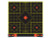 Shoot&bull;n&bull;c Sight-in Target - 12", 100 Targets, 1,700 Pasters