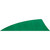 Gateway Rayzr Feathers Green 2 in. LW 50 Pack