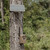 Moultrie Solar Power Pack 3.4W Trail Camera - MMA-14206