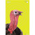 EzAim Splash Turkey Targets 12x18 8 Pack