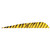 Gateway Barred Feathers Yellow 5 in. RW 50 Pack