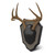 Hunters Specialties Antler Skull Cap Mount - HS-BB-SC-ASSY