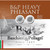 B&P Heavy Pheasant 12 Gauge Ammo 2-3/4" 1-3/8oz #6 25 Rounds - 12B38H6