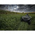 Domain Landing Strip Seed 1/4 Acre