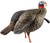 Avian X HDR Jake Decoy