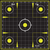 Allen EZ Aim Splash Hanging 12"x12" Black/Chartreuse 30 Pack