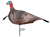 Primos Photoform Jake Turkey, Lightweight/Flexible/Collapsible Brown Foam,