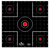 Birchwood Casey Dirty Bird Bullseye Tagboard Target 12" 100 Per Pkg
