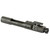 KAK AR15 BCG M16 556/300 CLP Black