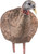 AVIAN X LCD BREEDER HEN DECOY 
