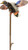 Mojo Elite Series Mini Mallard Drake Decoy