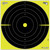 The Allen Company EZ AIM Non-Adhesive Splash Bullseye 12x12- 12/ct