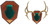 Allen Antler Mounting Kit - Green Skull