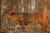 Birchwood Casey B/C Target Eze-Scorer 23"X35" Whitetail Deer 2 Targets