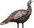 AVIAN X LCD LOOKOUT HEN DECOY 