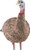 AVIAN X LCD LOOKOUT HEN DECOY 