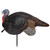 Primos Lil Gobstopper Jake Turkey Decoy