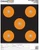 Champion Shotkeeper Targets Orange 5 Bull Large 12/Pack