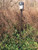 HME Trail Cam Ground Mounting Stick Adjustable 26"-36"