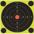 Birchwood Casey Shoot-N-C International Target