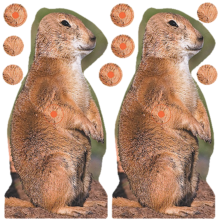 Birchwood Casey Shoot-N-C Reactive Target Self-Adhesive Paper