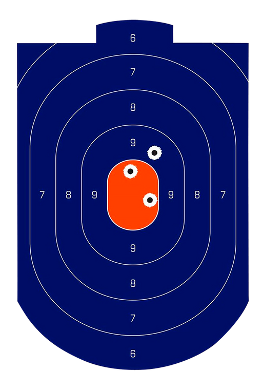 Birchwood Casey Dirty Bird Silhouette Target Silhouette