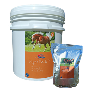 Fight Back (for horses) Fight Back (for horses)