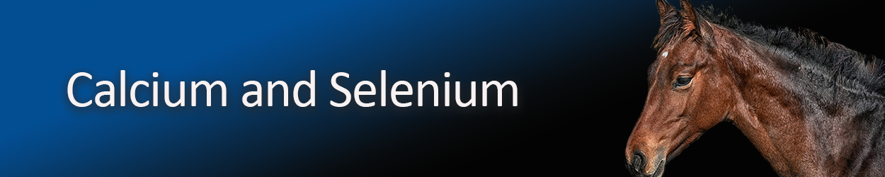 calcium-and-selenium.png